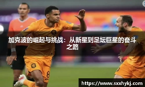 xk星空官方
