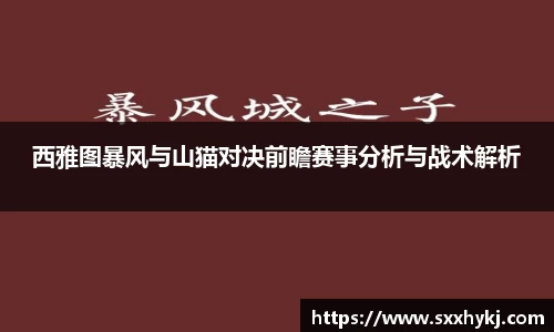 xk星空官方
